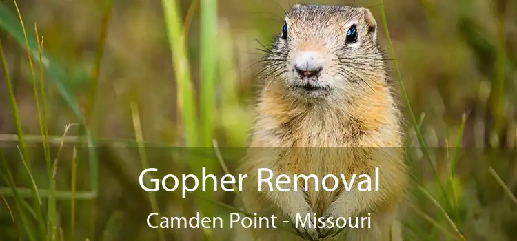 Gopher Removal Camden Point - Missouri