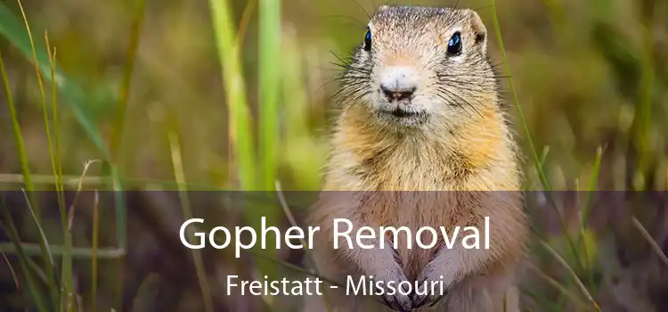 Gopher Removal Freistatt - Missouri