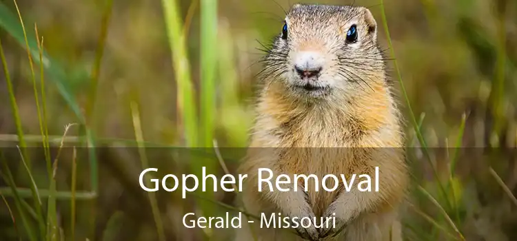 Gopher Removal Gerald - Missouri