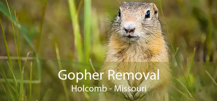 Gopher Removal Holcomb - Missouri
