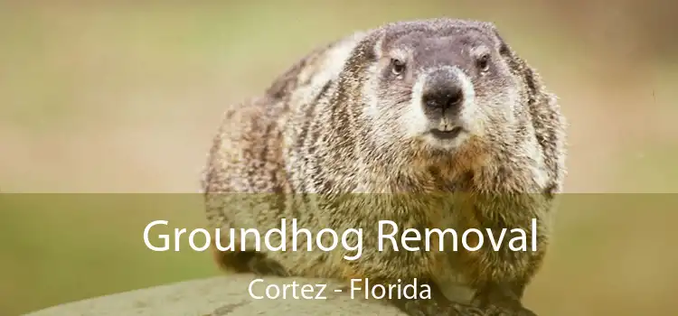 Groundhog Removal Cortez - Florida