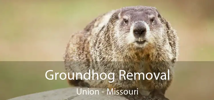 Groundhog Removal Union - Missouri