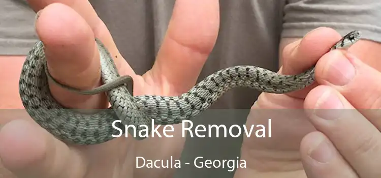 Snake Removal Dacula - Georgia