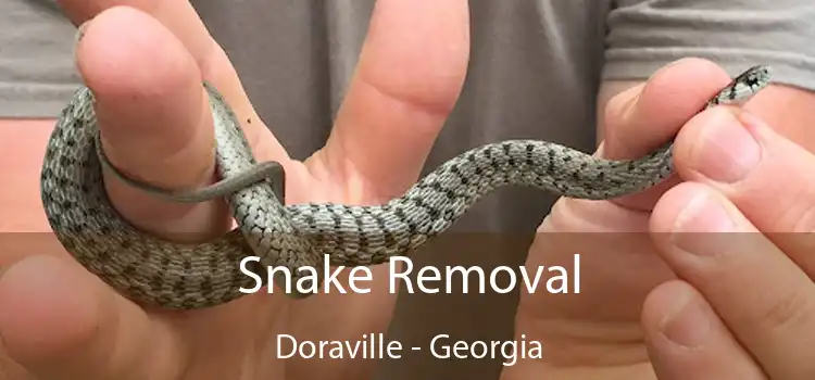 Snake Removal Doraville - Georgia