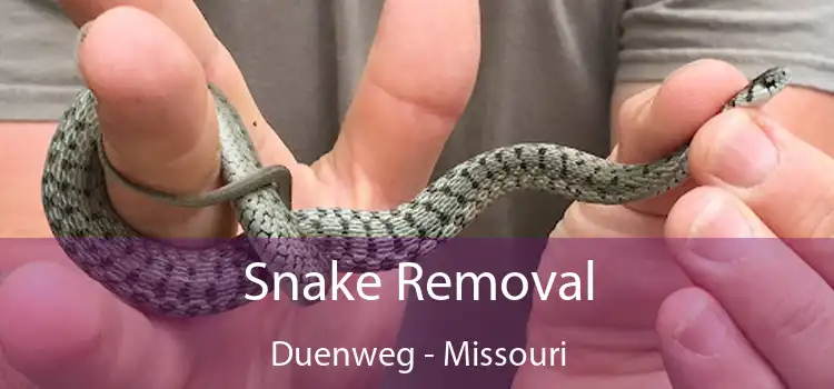 Snake Removal Duenweg - Missouri