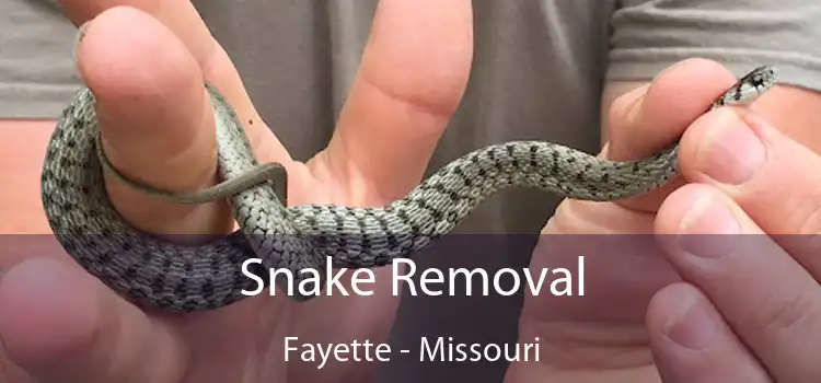 Snake Removal Fayette - Missouri