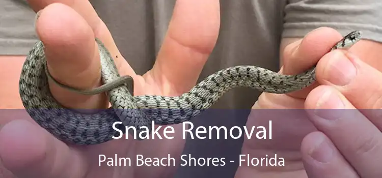 Snake Removal Palm Beach Shores - Florida