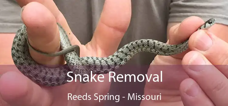 Snake Removal Reeds Spring - Missouri