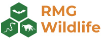 wildlife removal specialist in Stotts City